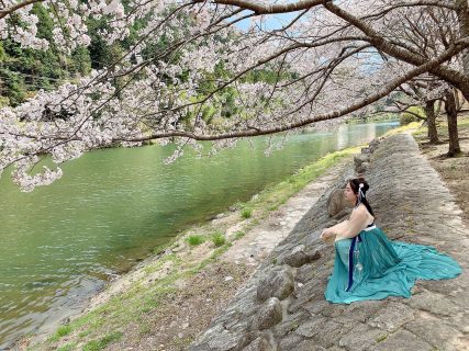 「东京樱花节目」に出演しました 【On ChineseTV】